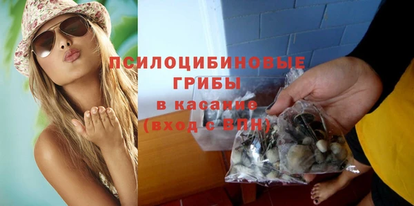 сатива Алексеевка
