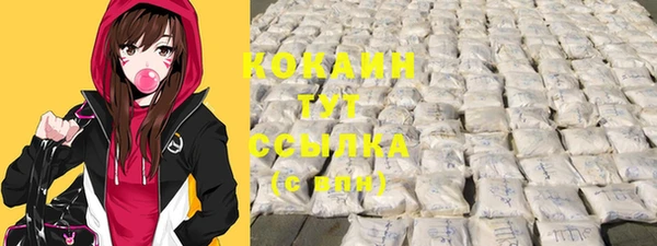 ECSTASY Алзамай