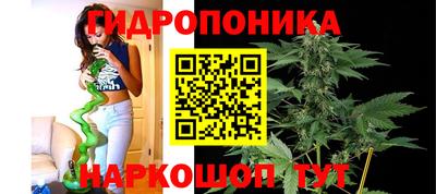 сатива Владивосток