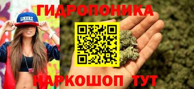 сатива Владивосток