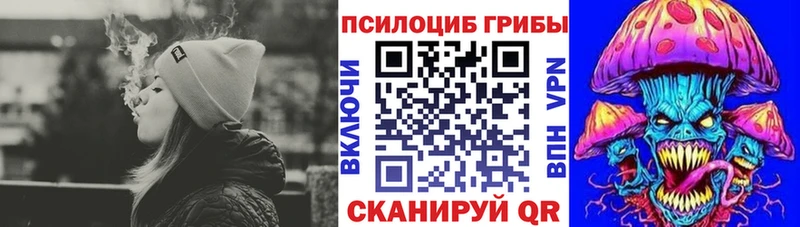 Псилоцибиновые грибы Cubensis Невинномысск