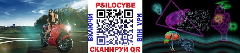 мега как войти Невинномысск Галлюциногенные грибы GOLDEN TEACHER