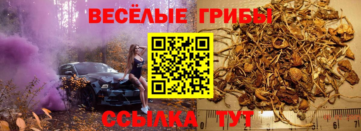 Невинномысск  Псилоцибиновые грибы GOLDEN TEACHER  дарнет шоп  Вход с VPN 