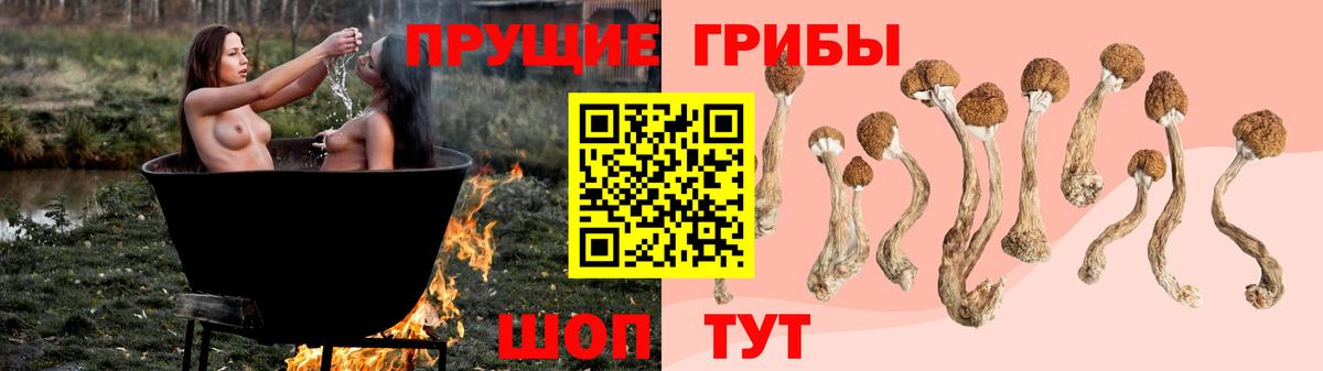 Галлюциногенные грибы мицелий Невинномысск