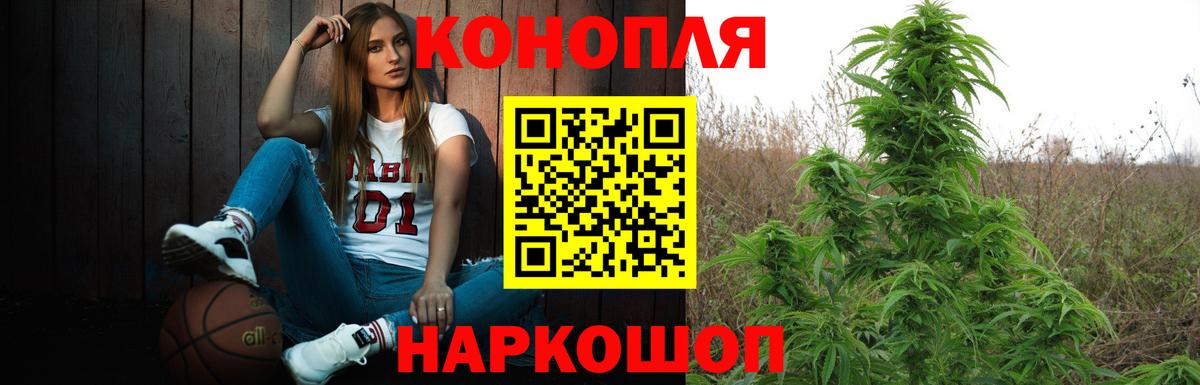 Марихуана Невинномысск